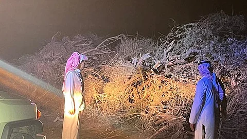 بالصور.. "بيئة أضم" تباشر بلاغاً عن قطع أشجار دون تصاريح نظامية
