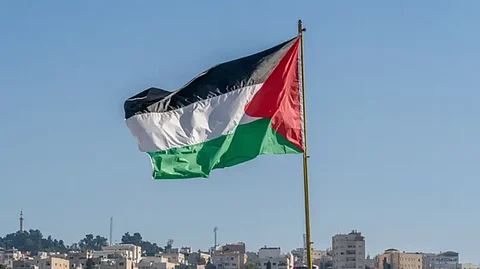 العلم الفلسطيني