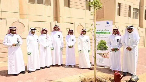 زراعة 10 آﻻف شجرة ذكية في المدن الصناعية التابعة للهيئة الملكية للجبيل وينبع