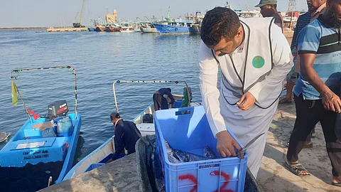 "بيئتا القنفذة وجدة" تكثفان حملاتهما الرقابية على سواحل القنفذة وجدة