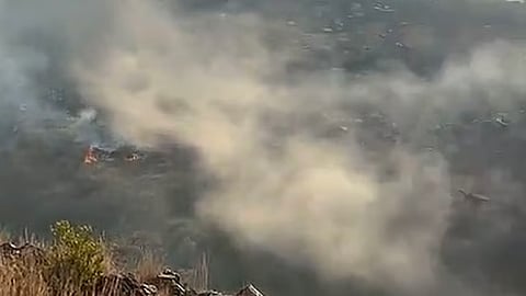 الدفاع المدني يسيطر على حريق أشجار بالمندق دون تسجيل إصابات