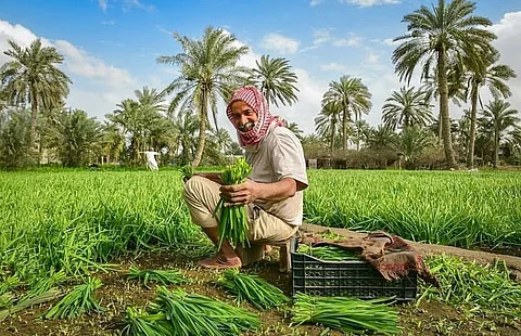 "تعبيرية"