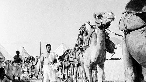 درب الحج المصري إلى مكة.. إرث ثقافي يطرق أبواب اليونسكو