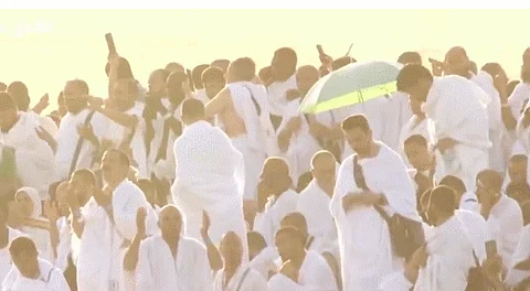 من أعلى جبل الرحمة.. حجاج بيت الله الحرام يبتهلون بالدعاء صباح يوم عرفة