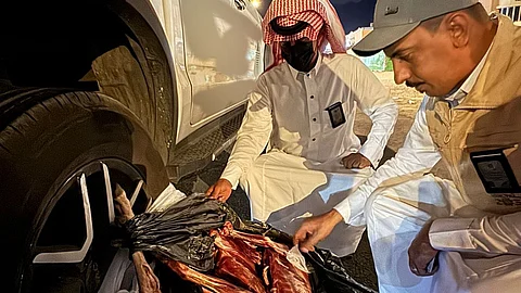 ضمن مبادرة "راصد+".. إحباط تهريب 10 ذبائح فاسدة من المشاعر إلى الطائف