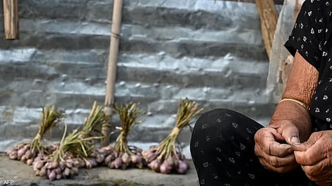 علماء كشفوا أن الثوم قد يبطئ الشيخوخة