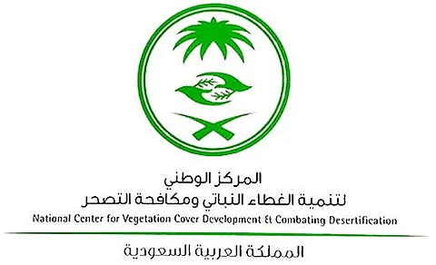 في إنجاز بيئي يُجسد التزام المملكة بالاستدامة.. زراعة 31 مليون شجرة في الشرقية