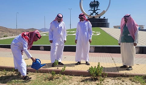 "بيئة الكامل" تنفذ 3 مبادرات بيئية لتعزيز الغطاء النباتي في حدائق المحافظة