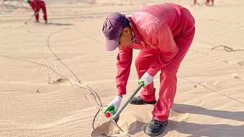 صحراء الربع الخالي .. المركز الوطني للغطاء النباتي ينثر 50 مليون بذرة في مواقع مسح "أرامكو"