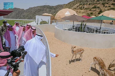 بالصور.. أمير الباحة يتفقد المواقع السياحية ويطّلع على تجربة نُزل الكبسولات في غابة رغدان