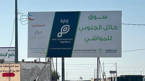 غياب الوزن في سوق مواشي حائل رغم سريان القرار.. والباعة: لم نتلقَّ إشعارًا بالتطبيق