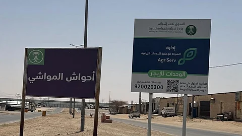 غياب الميزان في سوق مواشي القويعية رغم بدء تنفيذ قرار "البيع بالوزن"