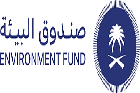 "أصدقاء البيئة".. مشروع نوعي يتجاوز المستهدفات ويعزز الوعي البيئي المجتمعي في المدارس