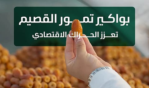 "البيئة": موسم جني بواكير التمور بالقصيم يعزز الحراك الاقتصادي بالمملكة بإنتاج يتجاوز 390 ألف طن