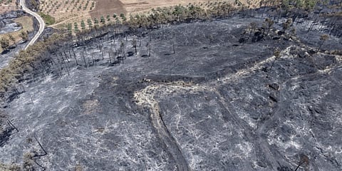 حرائق في ريف اللاذقية بسوريا والدفاع المدني يواصل جهوده للسيطرة عليها