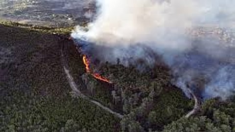 حرائق ضخمة تلتهم ريف اللاذقية لليوم الرابع.. و10 آلاف هكتار تحت اللهب