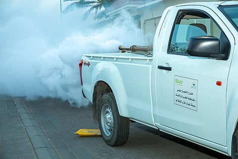 في نصف عام.. أمانة تبوك تستخدم أكثر من مليون لتر من المبيدات لمكافحة الحشرات