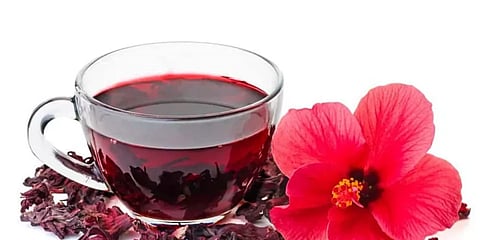 رغم فوائده في خفض الضغط.. دراسات حديثة: الكركديه ليس آمناً للجميع