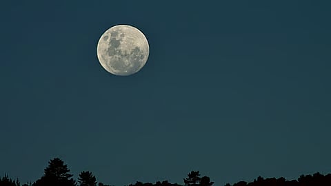 مضاءً بنسبة 99.8٪ بنور الشمس .. فلكية جدة: بدر محرم يُزيّن سماء الوطن العربي اليوم