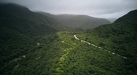 فنادق "هوانا صلالة" تستقبل السعوديين بعروض وخدمات فاخرة ورحلات مباشرة من الرياض وجدة والطريق البري يشهد سيولة كبيرة