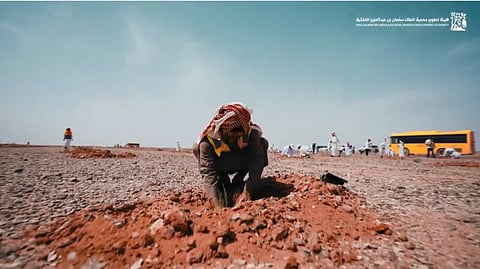 هيئة تطوير محمية الملك سلمان تواصل مواجهة التصحر وتنمية الغطاء النباتي