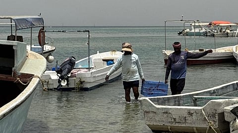 "بيئة جدة" تكثف الرقابة على مرافئ الصيد.. وتحذر من الوسائل المخالفة حفاظًا على الثروة البحرية