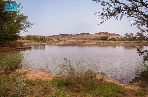 بالصور .. المتنزهات الطبيعية بنجران وجهات سياحية تستهوي الزوار بتنوعها البيئي الفريد