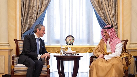 وزير الخارجية يستقبل مدير الوكالة الدولية للطاقة الذرية