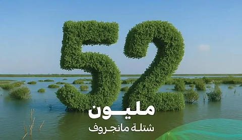 "الغطاء النباتي" يُعلن زراعة 52 مليون شجرة مانجروف على سواحل المملكة بالتعاون مع الشركاء