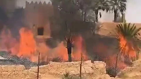 حريق يلتهم نخيلاً وأشجاراً في قرية أشيقر التراثية وجهود جماعية تنجح في إخماده