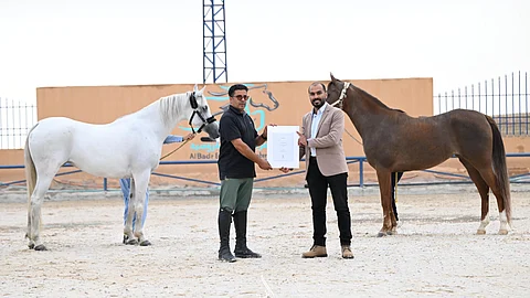 أبها .. ورشة "تصوير الخيل" تشهد تفاعلًا كبيرًا وإبداعات بصرية لافتة