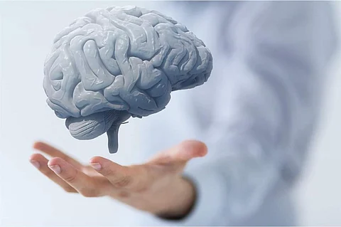 لصحة دماغك.. لا تكثر من تناول هذه الأطعمة