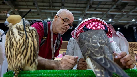 جانب من حضور المزاد الدولي لمزارع إنتاج الصقور 2025