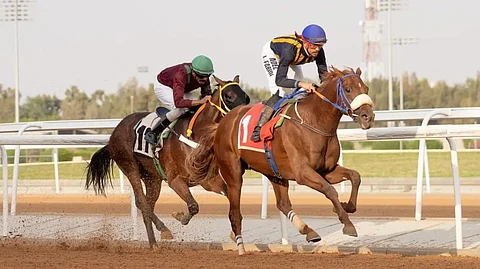 بميدان الملك خالد للفروسية.. كأس الهدا يفتتح كؤوس موسم سباقات الخيل بالطائف