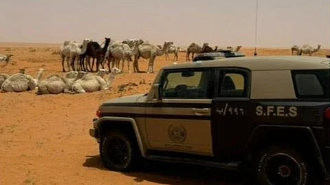 "الأمن البيئي" تضبط مواطنًا مخالفًا لنظام البيئة لارتكابه مخالفة رعي في محمية الإمام تركي بن عبدالله الملكية