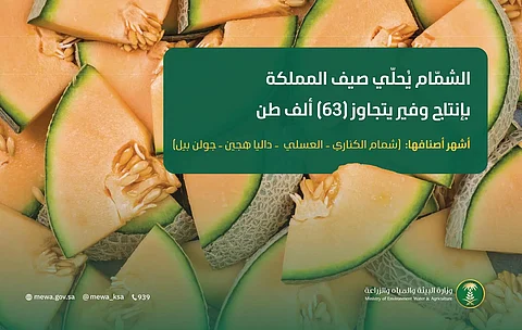 "الشمّام" يُحلّي صيف المملكة بإنتاج وفير يتجاوز 63 ألف طن سنويًا