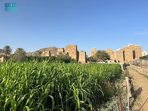 مزارع عسير محطات صيفية بارزة.. هنا وجهة سياحية تجمع بين التنوع وجمال الطبيعة