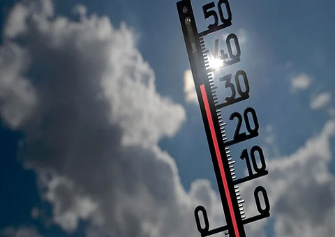 استمرار موجة الحر في ألمانيا مع توقعات بوصول درجات الحرارة إلى 37 درجة مئوية