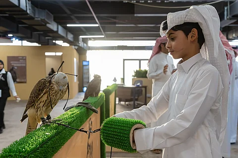 "هجرس".. أصغر صقار يخطف الأنظار ويعزز الموروث في المزاد الدولي للصقور 2025