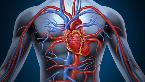 "النمر": النساء أكثر عرضة لتشنج الشرايين التاجية.. والرجال لتضيّقها بالكالسيوم والدهون