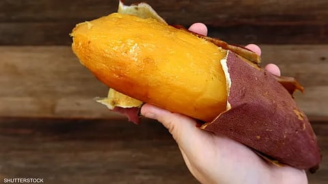 البطاطا الحلوة