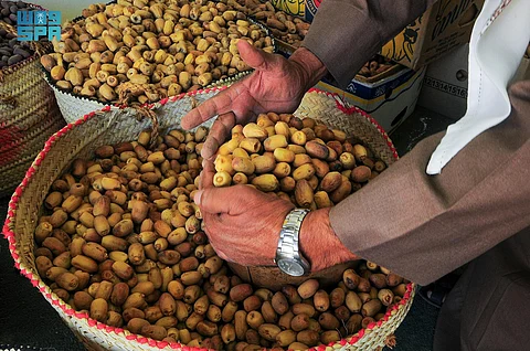 سوق التمور بنجران يشهد حراكًا اقتصاديًّا في بيع وشراء حصاد نخيل البياض والمواكيل