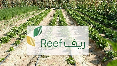 "ريف السعودية" يُطلق مشروع نفق تجفيف التين للحفاظ على جودته ورفع قيمته التسويقية