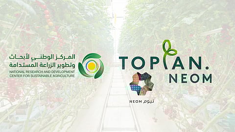 المنافذ الجمركية تسجل 1371 حالة ضبط خلال أسبوع
