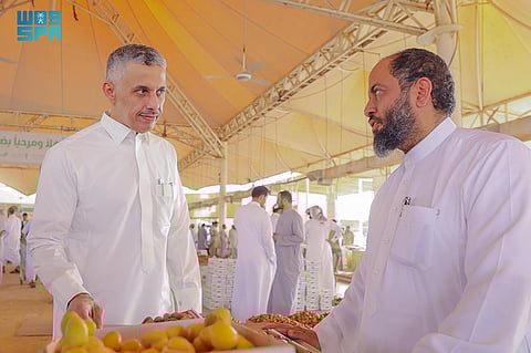 مشاهد من موسم تمور البدائع .. جودة في المنتج وكميات تنعش الحركة الاقتصادية
