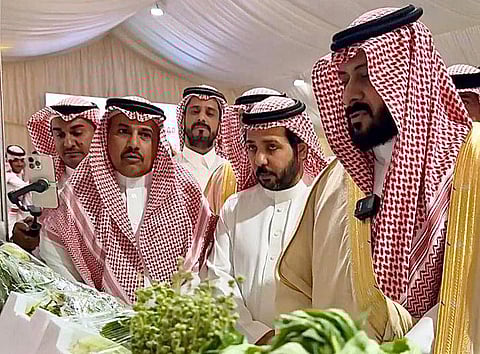 برعاية محافظ الجموم.. "البيئة" تدشن مهرجان خيرات وادي فاطمة 2025