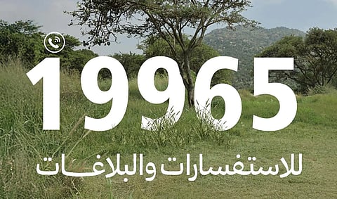 "الغطاء النباتي" يطلق خدمات الرقم الموحد 19965 لتلقي البلاغات والاستفسارات
