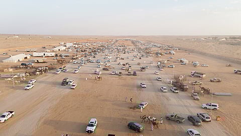 نادي الإبل يعلن تواجد فريق التوثيق بمزاد المدرج لأربعة أيام