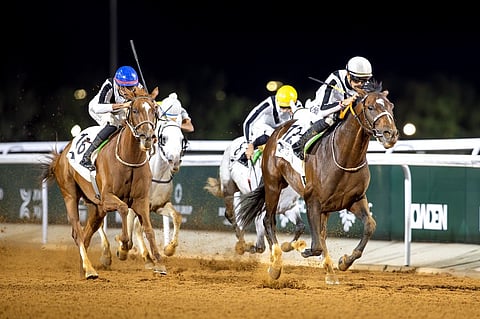 الجواد "تلال الخالدية" يتوج بكأس الأمير عبدالله الفيصل و"وثاب المشاهير" بكأس الملك فيصل