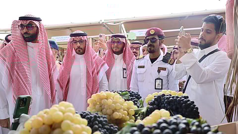 بأكثر من 2000 ريال للرمان.. الطائف تطلق مهرجان العنب والرمان وسط إقبال لافت